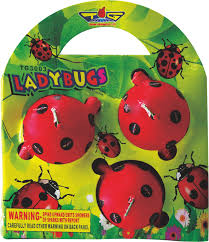 Lady Bug