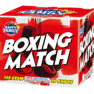 Boxing Match