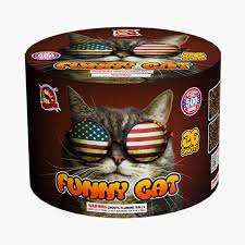 500 Gram Funny Cat