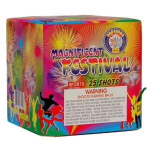 Magnificent Festival