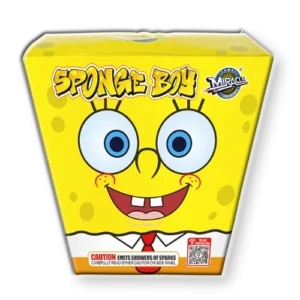 Sponge Boy